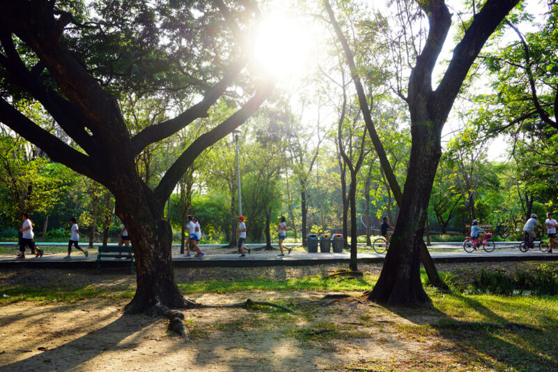 What Are My Options if I’m a Tourist and Get Injured at Big Spring International Park in Huntsville, AL?